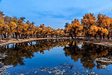 《艾尔登法环》新艺术图公布 恐怖领主挡路